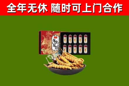 龙江回收冬虫夏草价格